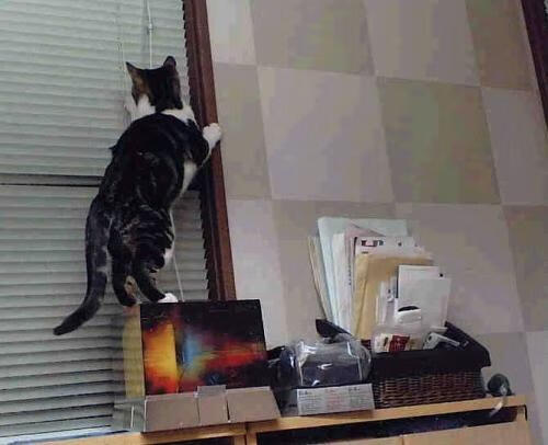 中国男篮比赛经验不断丰富，中国男蓝经典比赛